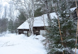 31-Landscapes-8