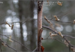 Bigger Bokeh Highlights