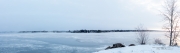 Frosty Morning-11