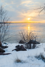 Frosty Morning-12