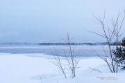 Frosty Morning-2