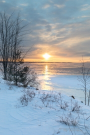 Frosty Morning-3