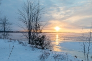 Frosty Morning-4