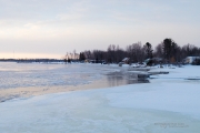 Frosty Morning-7