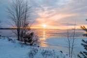 Frosty Morning-9