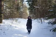 Winter Walk-2
