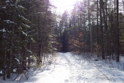 Winter Walk-5