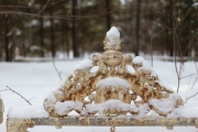 Winter Walk-9