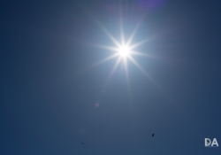 Flare-3