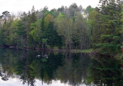 Landscape-2