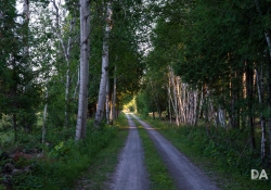 Landscape-6