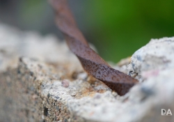 Macro-4