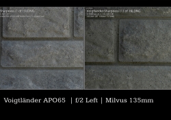 Milvus Comparison Wide Open Left