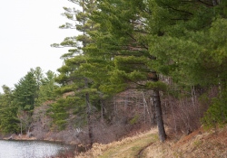 26-Landscape-3