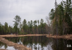 26-Landscape