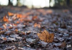27-Bokeh-7