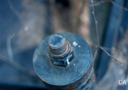 27-Bokeh-8