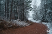 As Winter Creeps up the Road (Samyang AF 35mm F1.4)