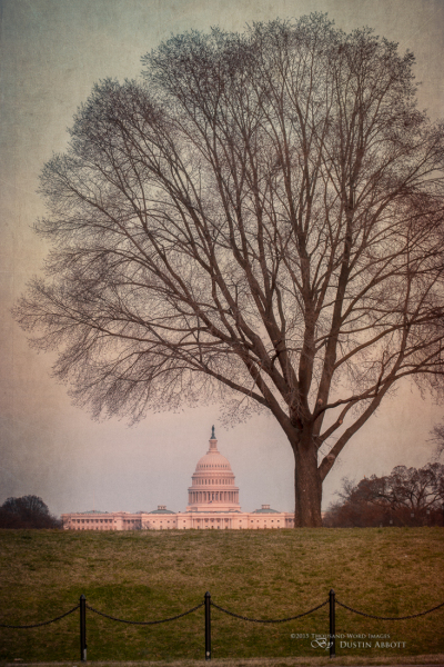 Capital Dreams