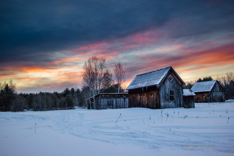 Weathering the Cold