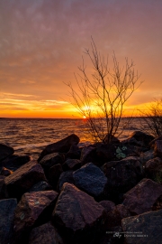 The Burning Bush
