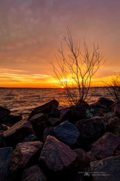The Burning Bush