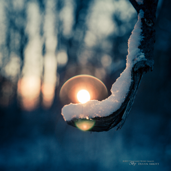 A Scoop of Sunshine