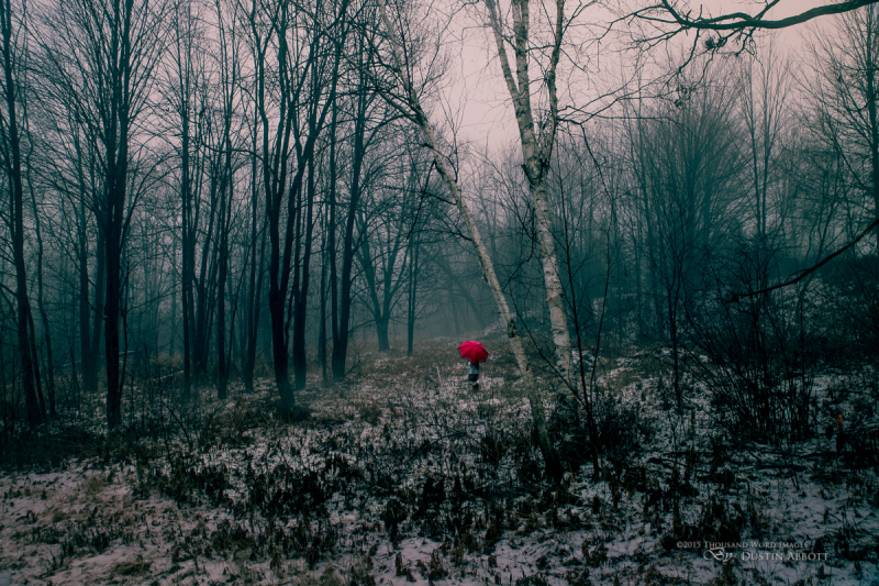 Must I Go Alone?