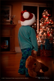 Waiting for Christmas
