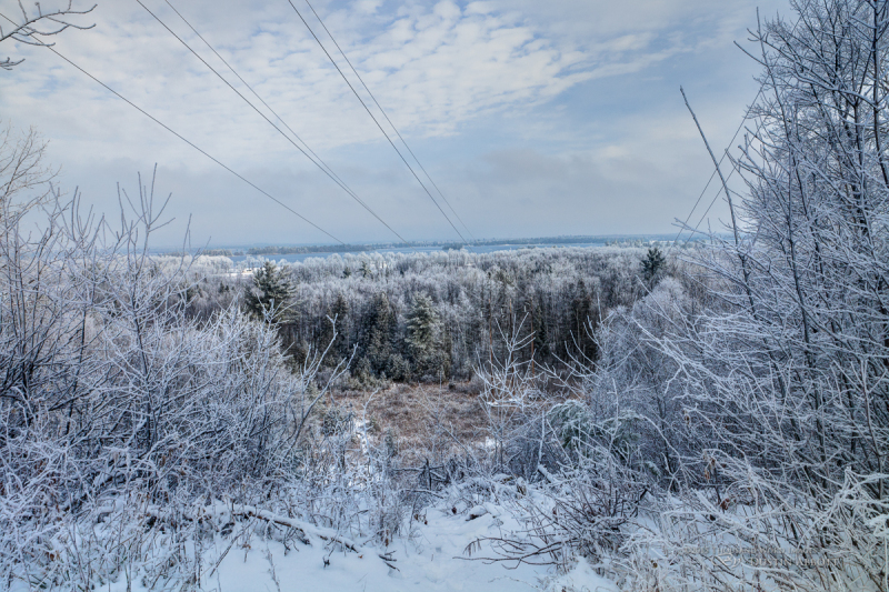 Winter Round 1-20
