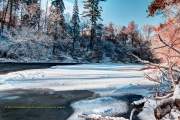 Winter's Arrival