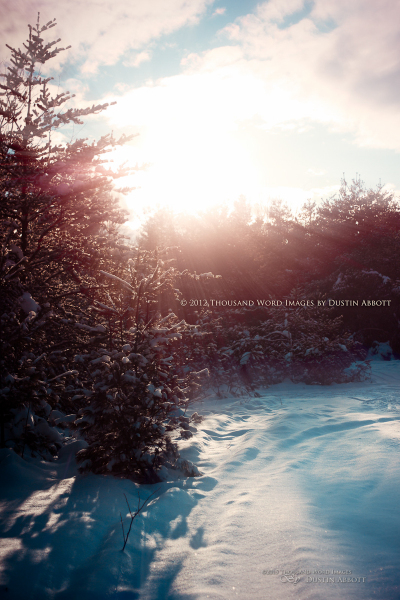 One Perfect Winter Day