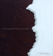 Winter's Yin Yang