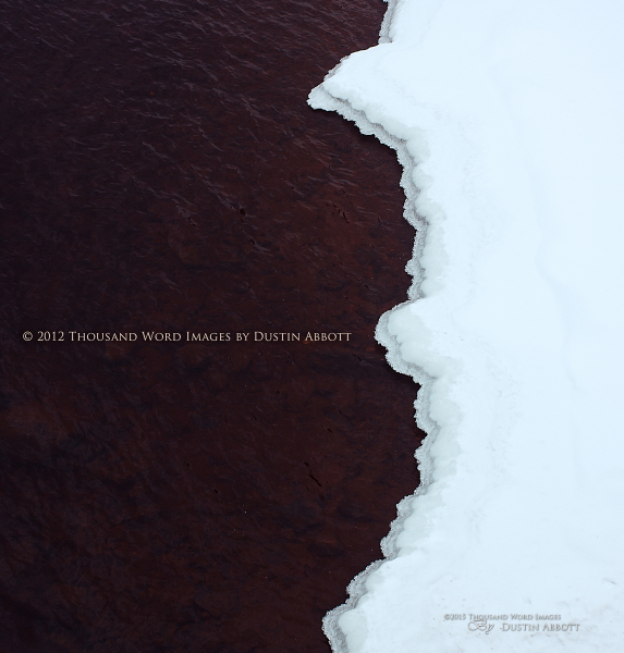 Winter's Yin Yang