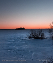 Frozen Desert