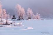 Winter Round 2-11