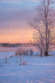 Winter Round 2-12