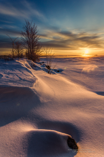 Winter's Splendor #6 - Sculpted