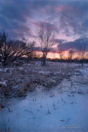 Still Winter, Still Beautiful