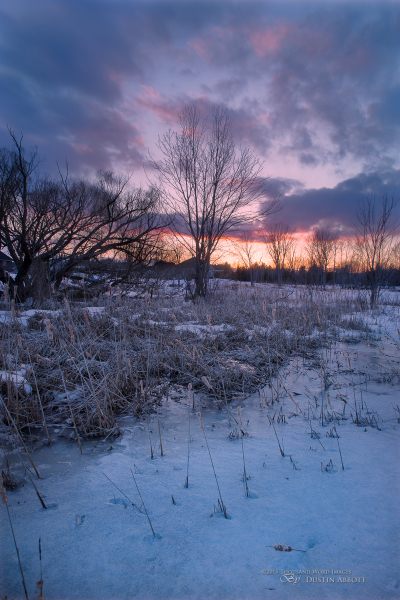 Still Winter, Still Beautiful