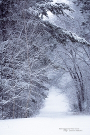 Winter Round 2-24