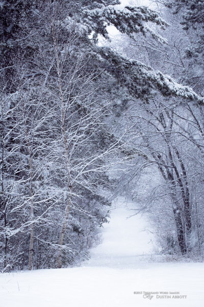 Winter Round 2-24