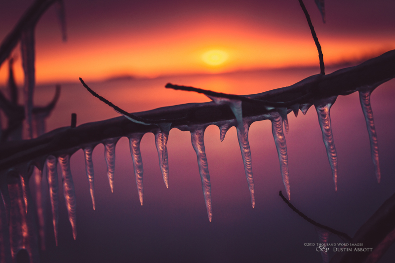 Frozen