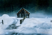 Waiting for Spring