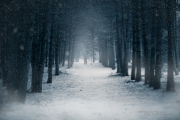 Winter Romance