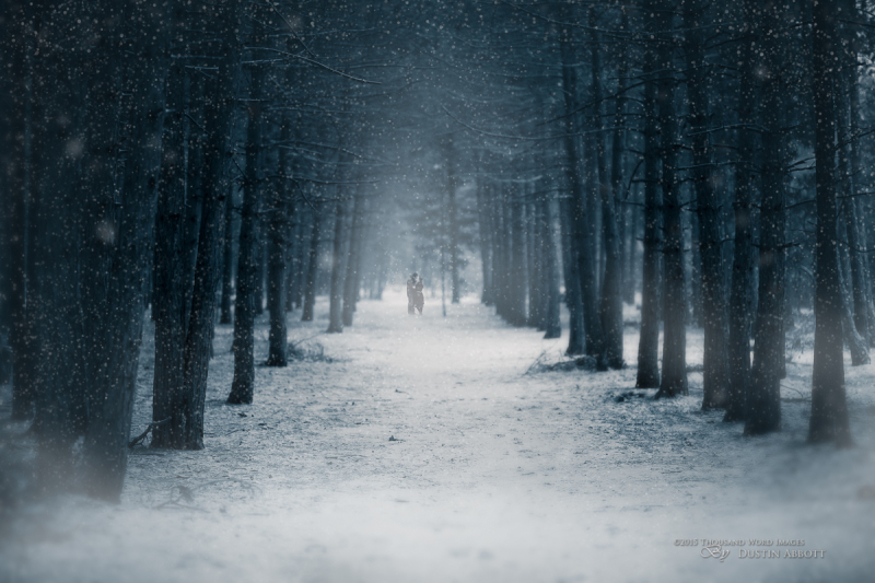 Winter Romance