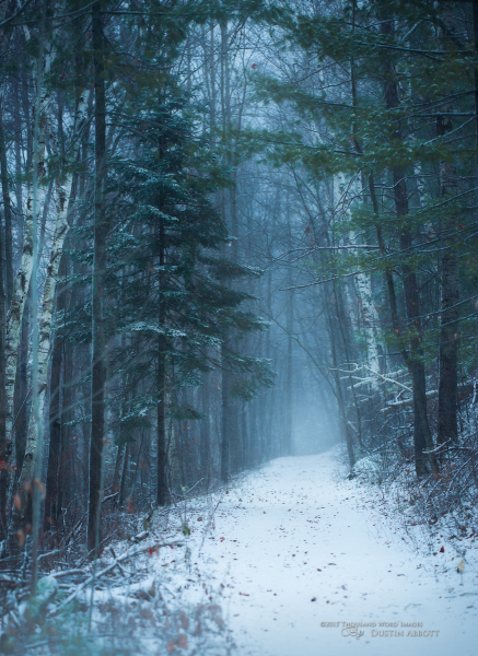 Down Winter's Path
