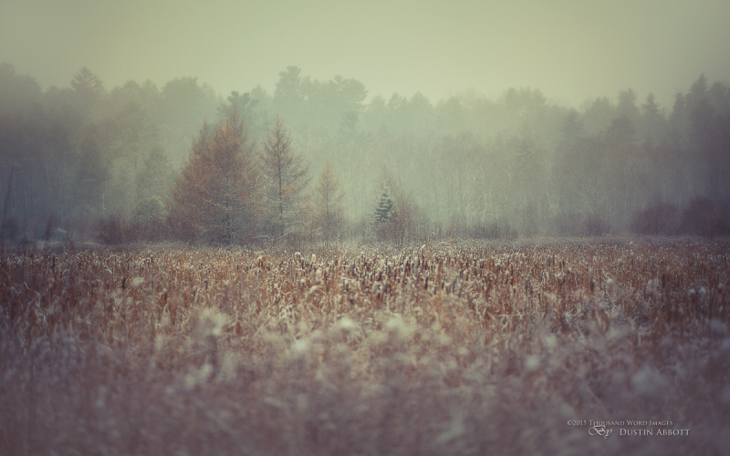 Winter at f/1.4