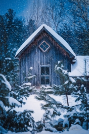 The Last Homely House