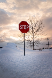 Winter, It's Time to Stop!